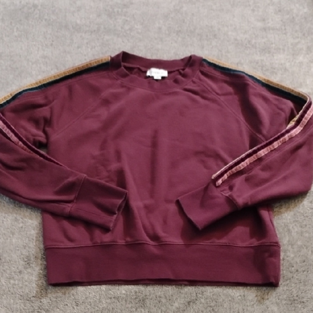 Evereve "Jade" Velour Stripe Cropped Sweatshirt
